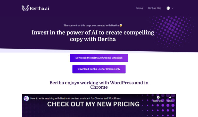 Read more about the article Bertha AI